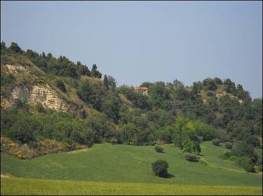 foto principale del terreno