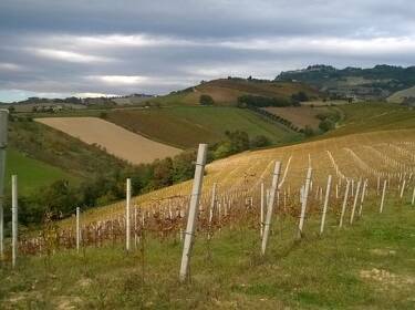 foto principale del terreno