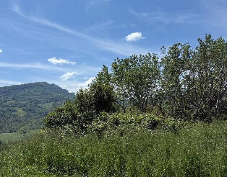 foto principale del terreno