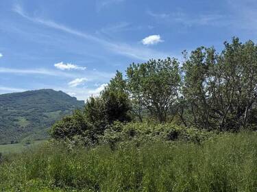 foto principale del terreno