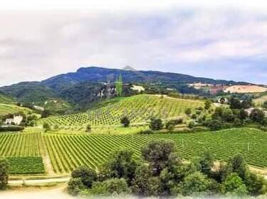 foto principale del terreno