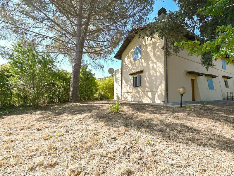 foto principale del terreno