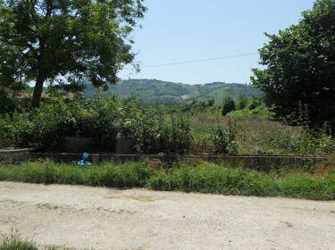 foto principale del terreno