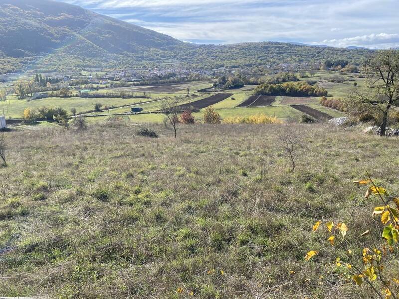 foto principale del terreno