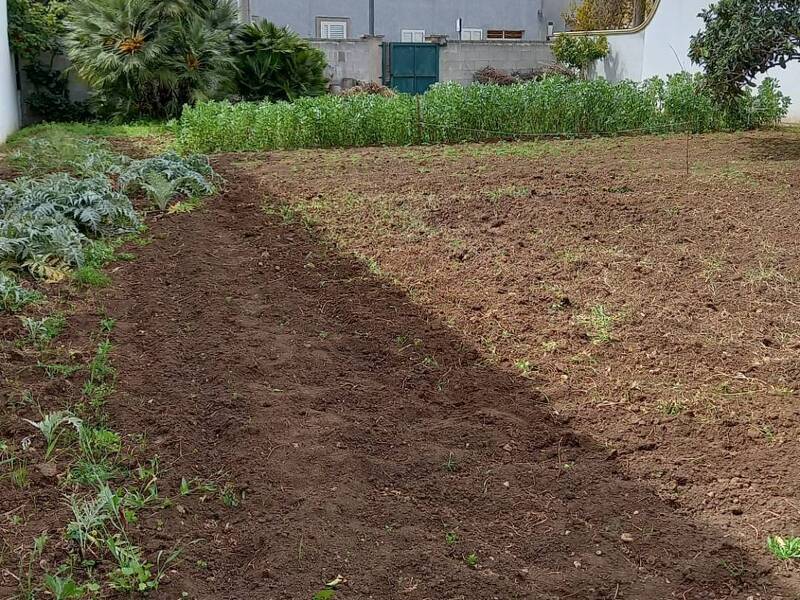 foto principale del terreno