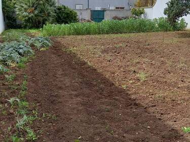 foto principale del terreno