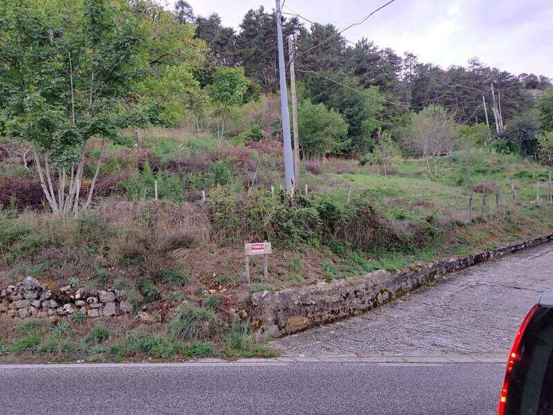 foto principale del terreno