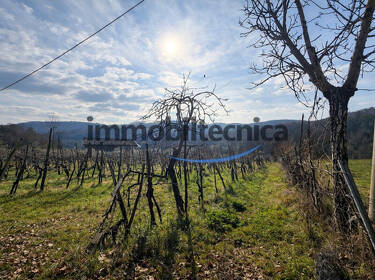 foto principale del terreno