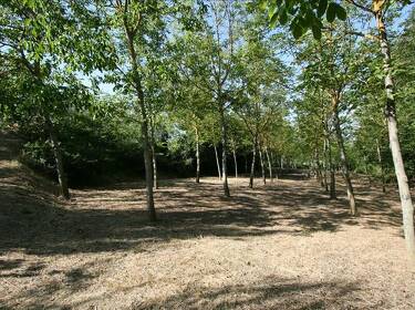 foto principale del terreno