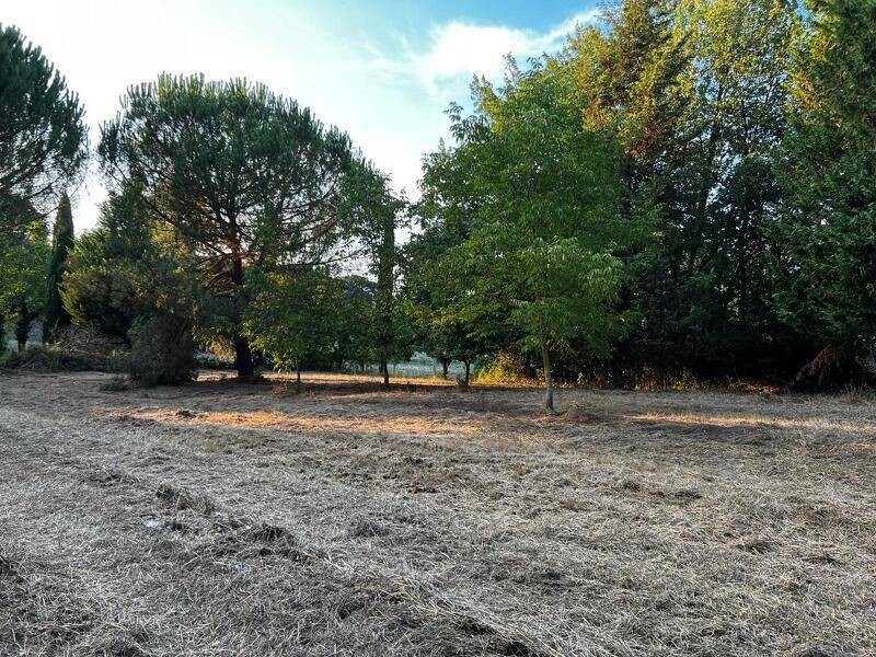 foto principale del terreno