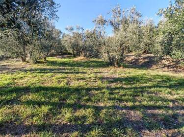 foto principale del terreno