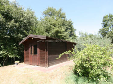 foto principale del terreno