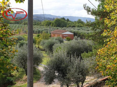 foto principale del terreno