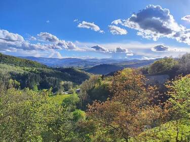 foto principale del terreno