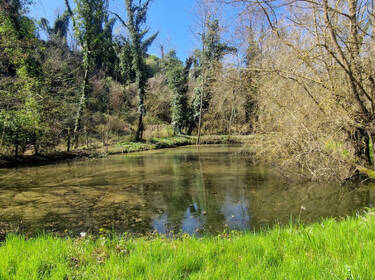 foto principale del terreno