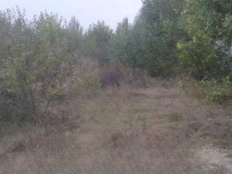 foto principale del terreno