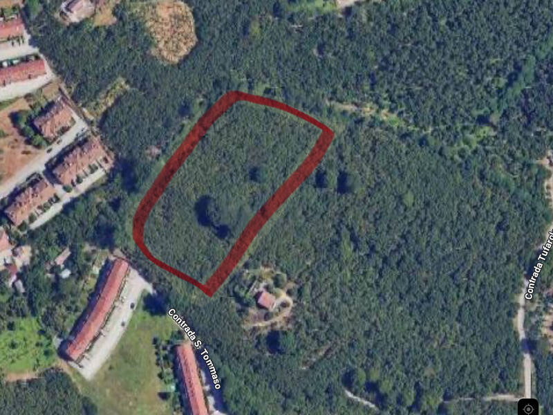 foto principale del terreno