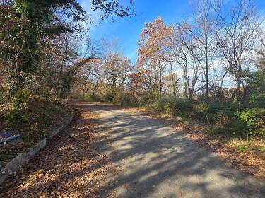 foto principale del terreno