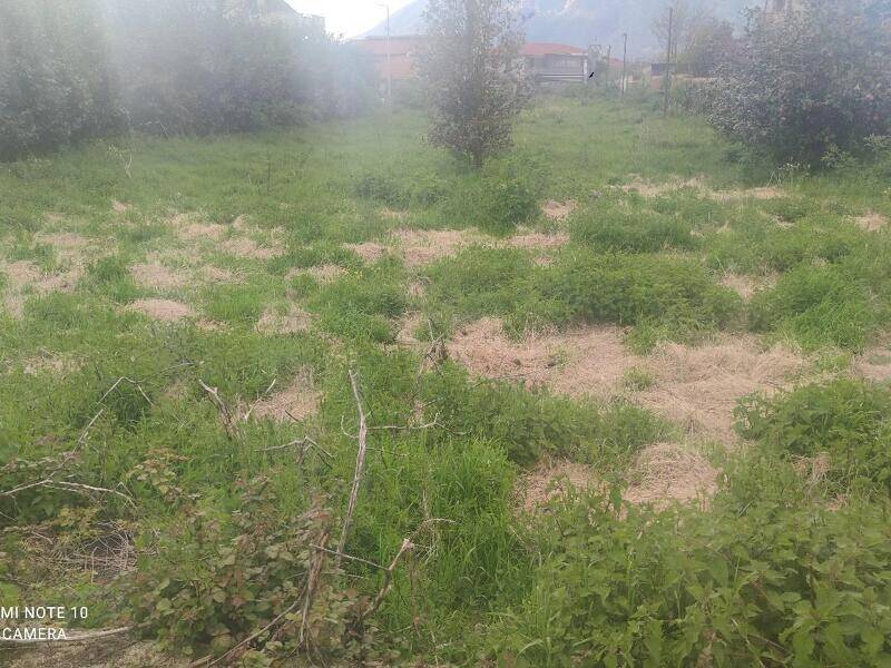 foto principale del terreno