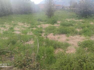 foto principale del terreno