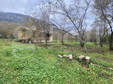 foto principale del terreno