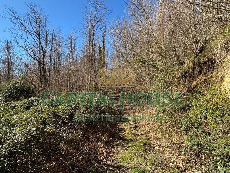 foto principale del terreno