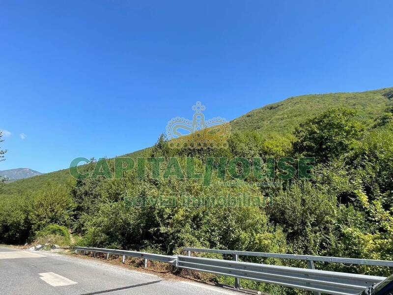 foto principale del terreno
