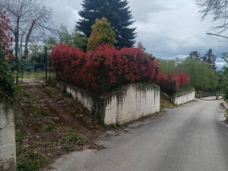 immagine annuncio 1 di 2