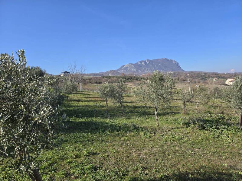 foto principale del terreno