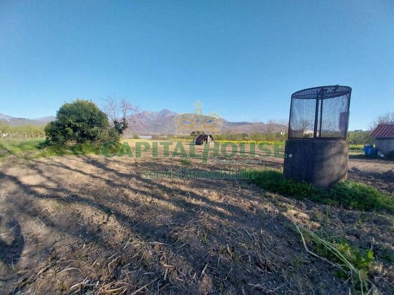 foto principale del terreno