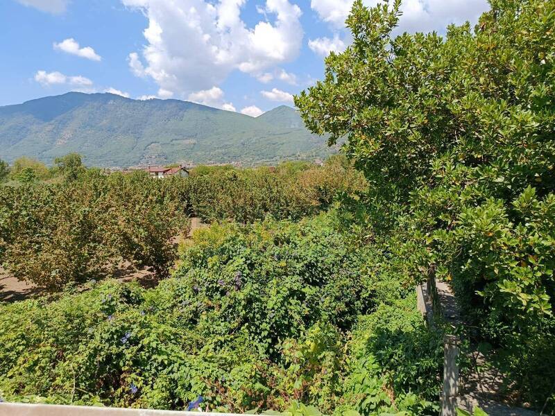 foto principale del terreno