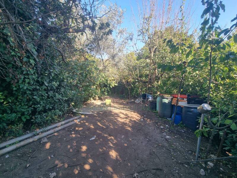 foto principale del terreno