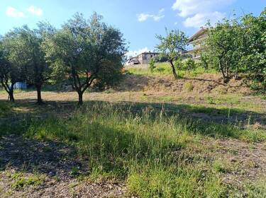 foto principale del terreno