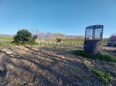 foto principale del terreno