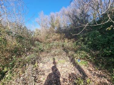 foto principale del terreno