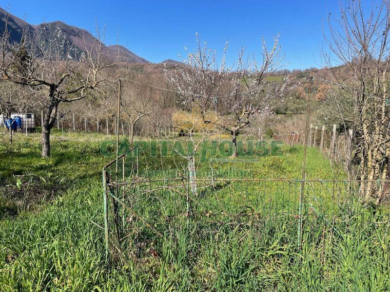 foto principale del terreno