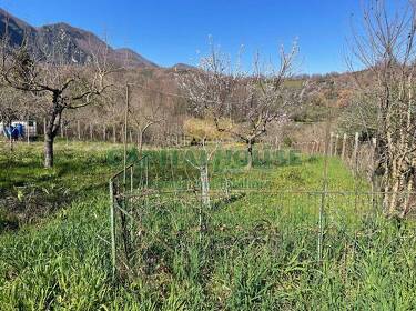 foto principale del terreno