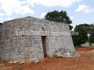 foto principale del terreno