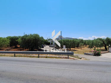 foto principale del terreno