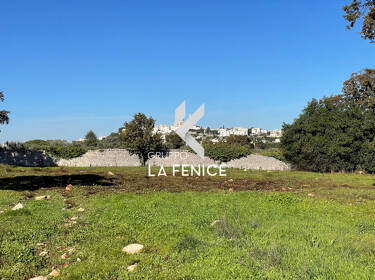 foto principale del terreno