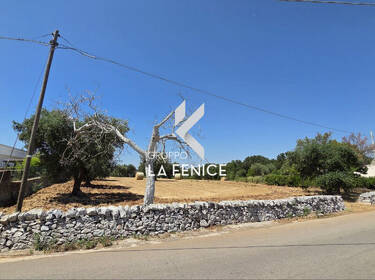 foto principale del terreno