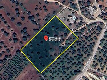 foto principale del terreno