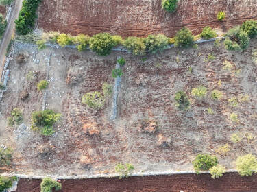 foto principale del terreno