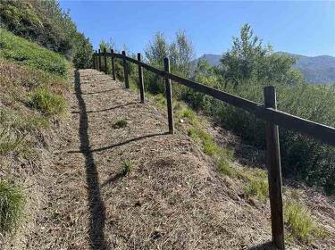 foto principale del terreno
