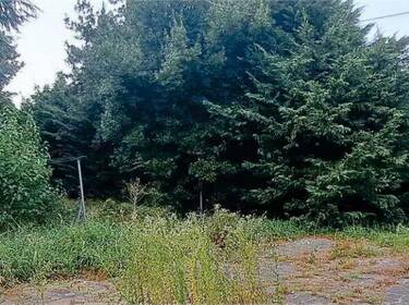 foto principale del terreno