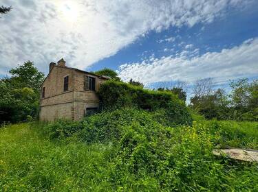 foto principale del terreno