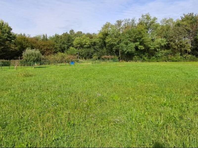 foto principale del terreno