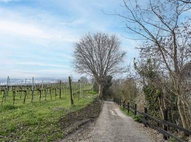 foto principale del terreno