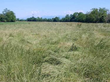 foto principale del terreno