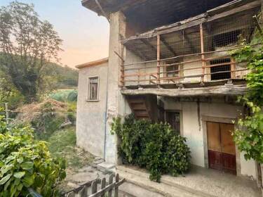 foto principale del terreno